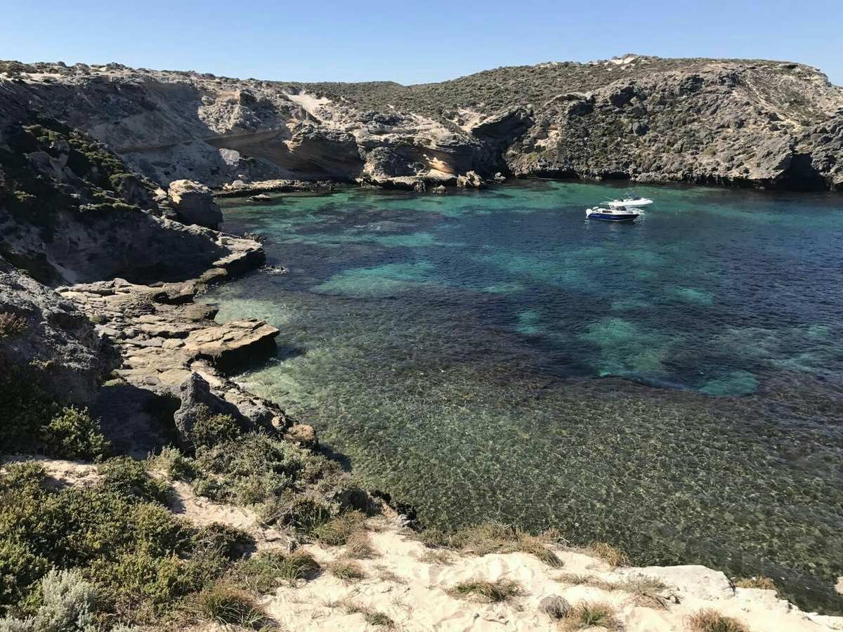 罗特内斯特岛掠影，探索神秘之岛的奇幻之旅