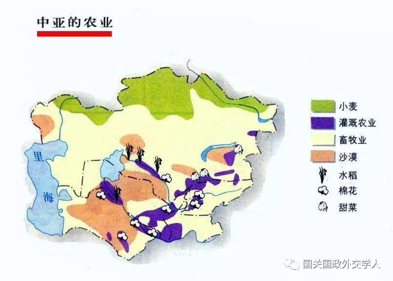 中亚国家挖掘农业增长潜力——国际视点下的农业发展新机遇