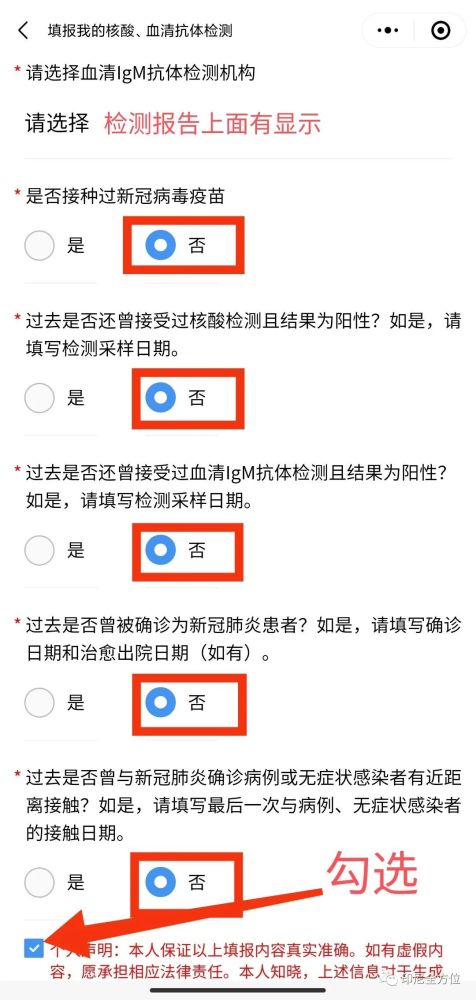 绿码最新，探索未来数字生活的关键