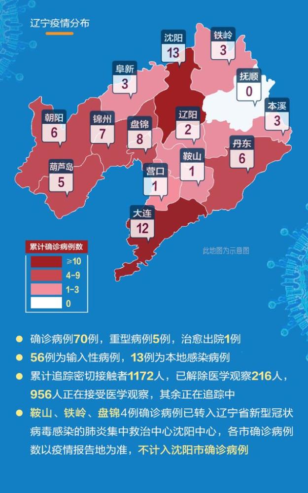 辽宁肺炎最新动态，全面关注与积极应对