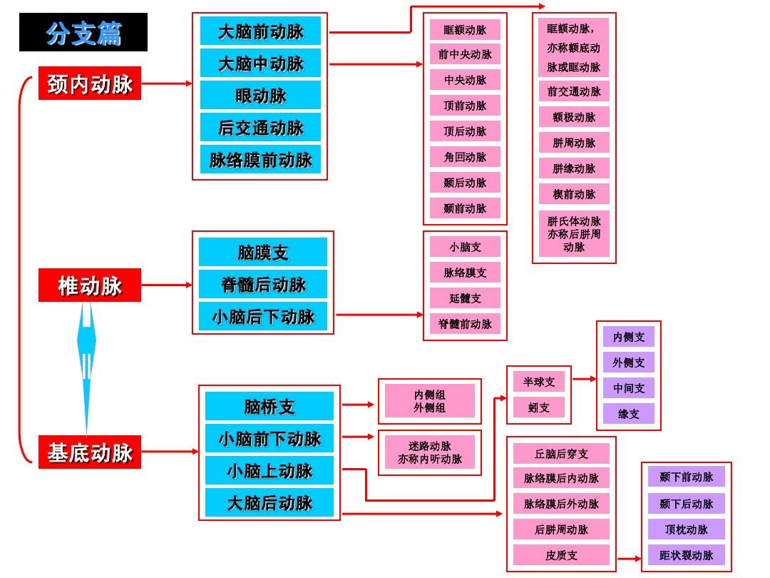 代亦 第5页