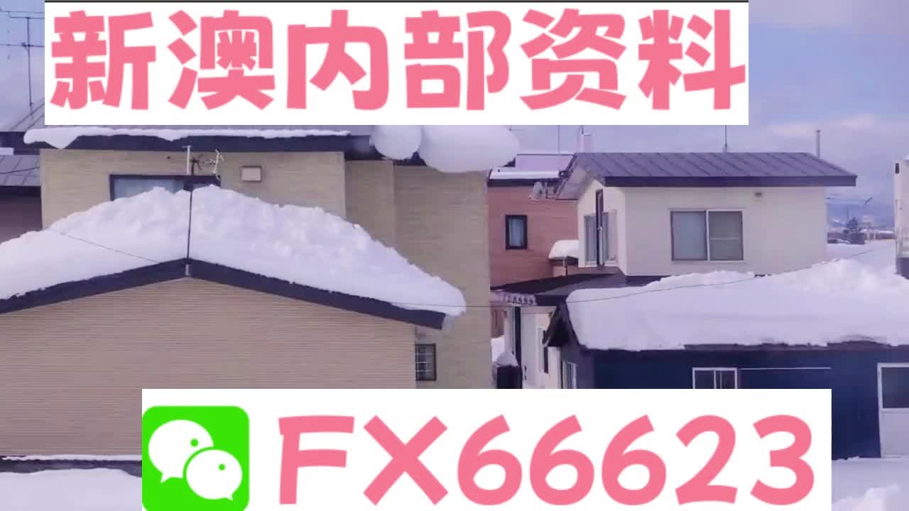 新澳资料免费精准期期准,用户需求分析_旧版17.17.8