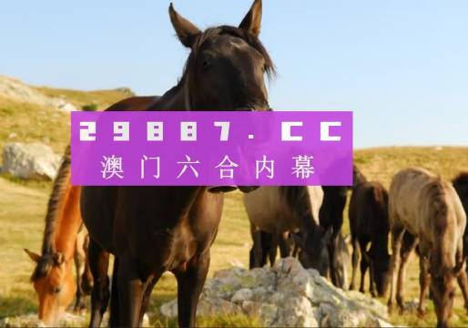 澳门管家婆-肖一码,效率分析与优化_海外版6.4.6