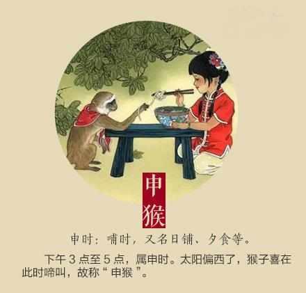 二七四一再合五，红袖点灯苦读书打一最佳生肖动物,市场机会识别|旧版12.8.14