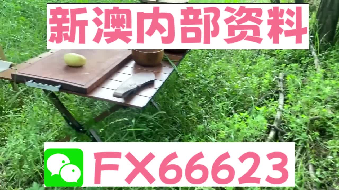 新澳天天开奖资料大全旅游攻略,深入数据设计策略|青春版14.9.11