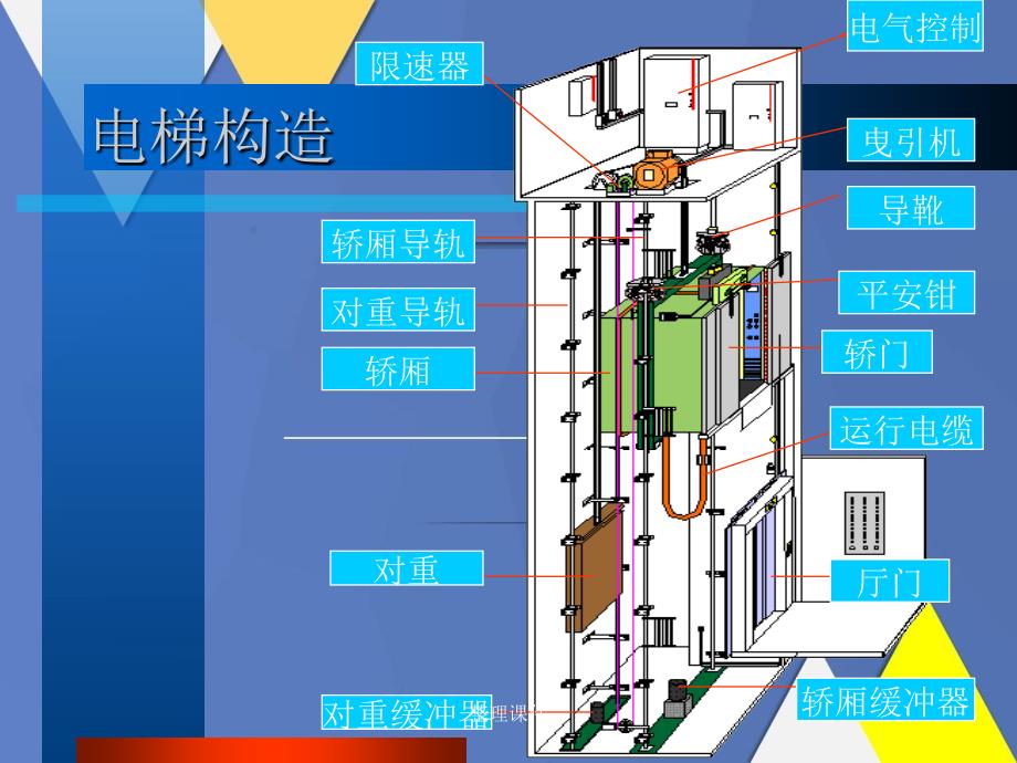 香卉 第5页