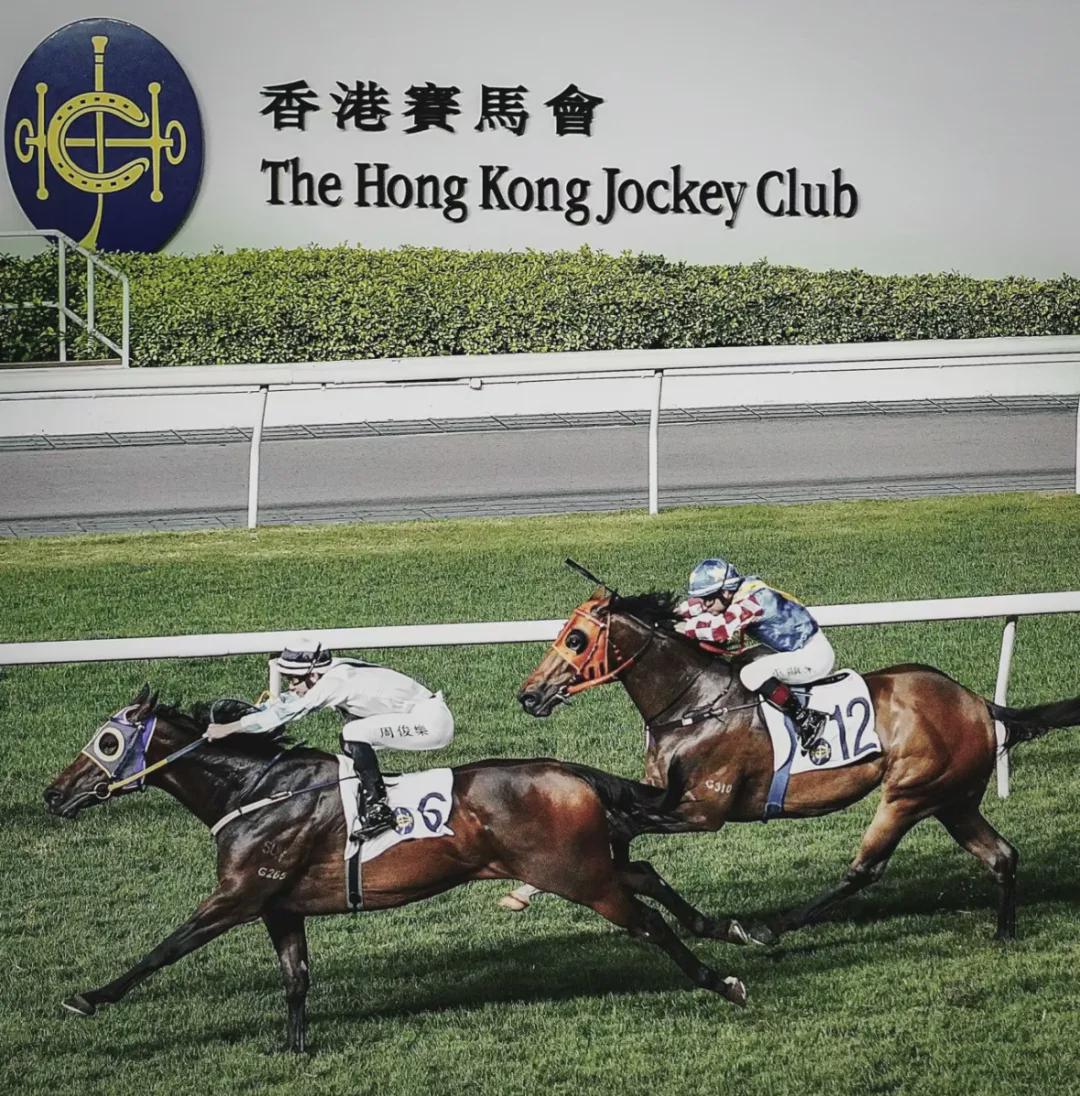 香港马会,灵活性规划与实施|抢先教育版13.3.6