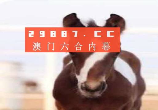 澳门一肖一码100准最准一肖_,市场拓展与推广方案与实施