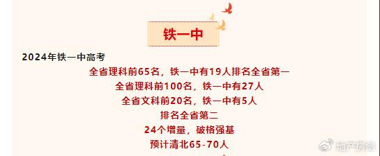 2024年一肖一码一中,团队合作与沟通策略与实施详细计划