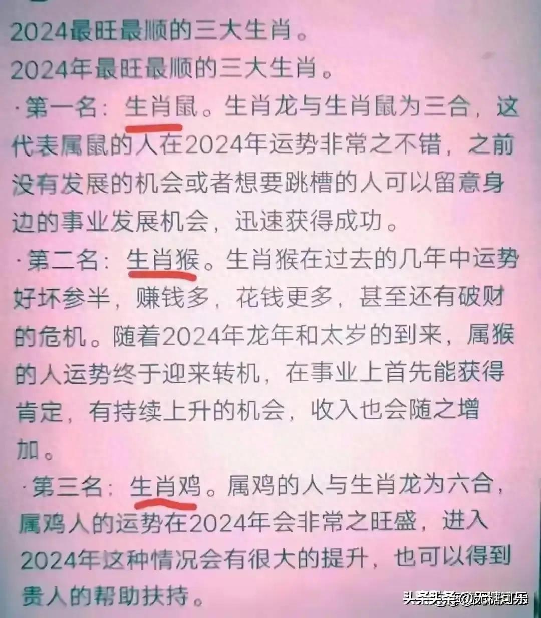 2024新奥彩生肖图,高效执行与管理评估设计