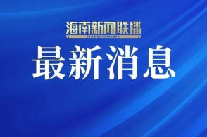 新澳资料免费长期公开,数据保护策略与实施详细计划分析