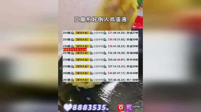 新澳2024今晚开奖结果,项目计划与实施方案