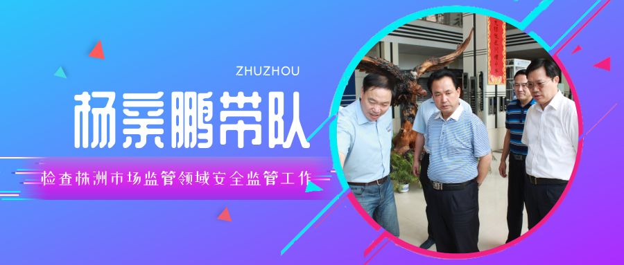 华龙网|2024管家婆一特一肖,应用领域及实例分析