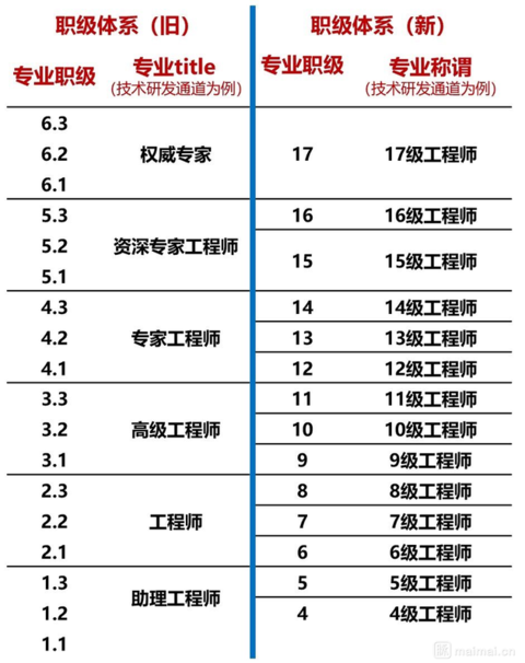 飞柏 第2页