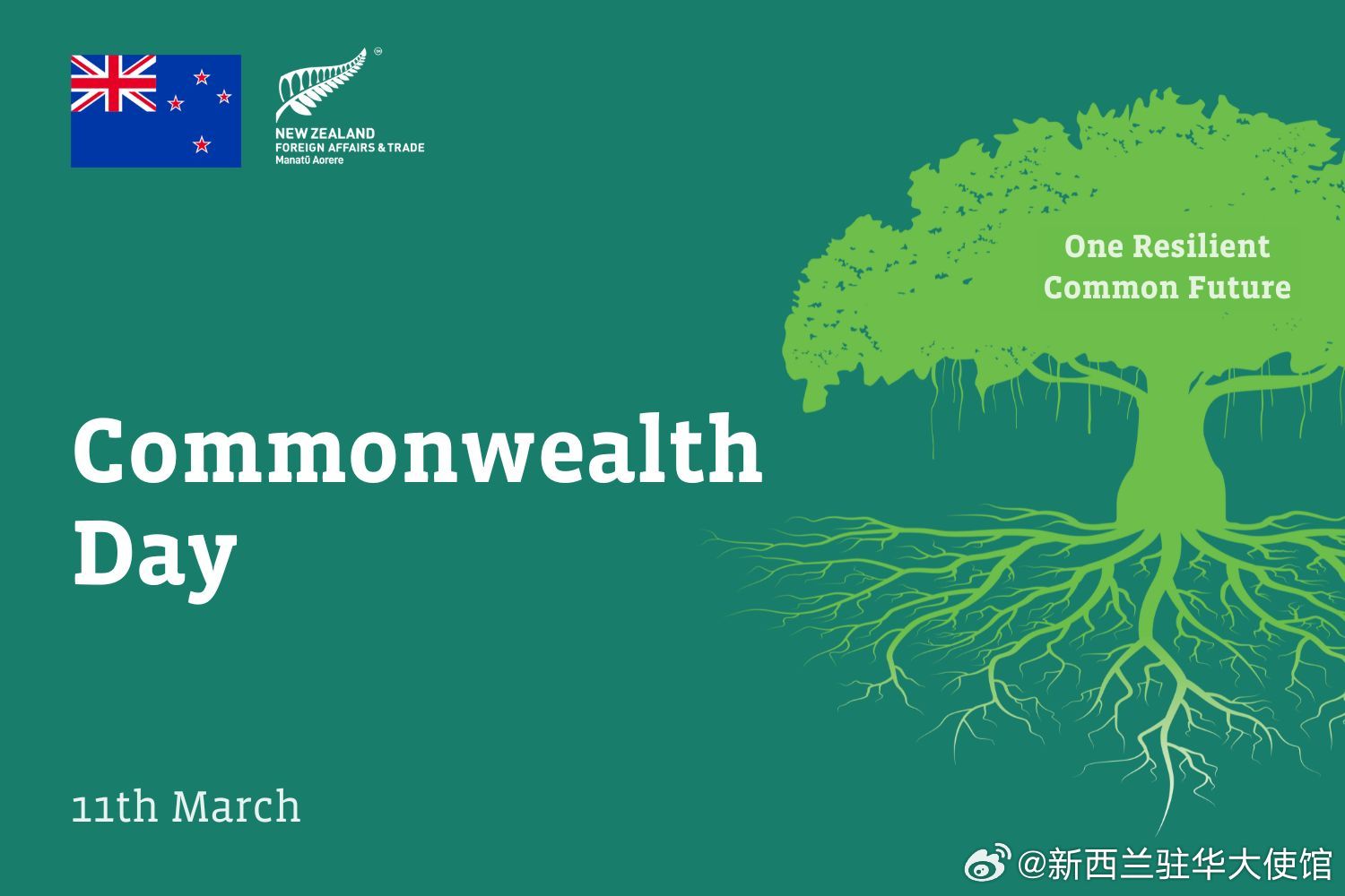 最新版本的Commonwealth，探索新功能与改进