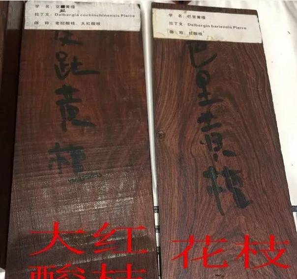 大红酸枝最新消息仙游——探寻珍稀木材的动向与奥秘