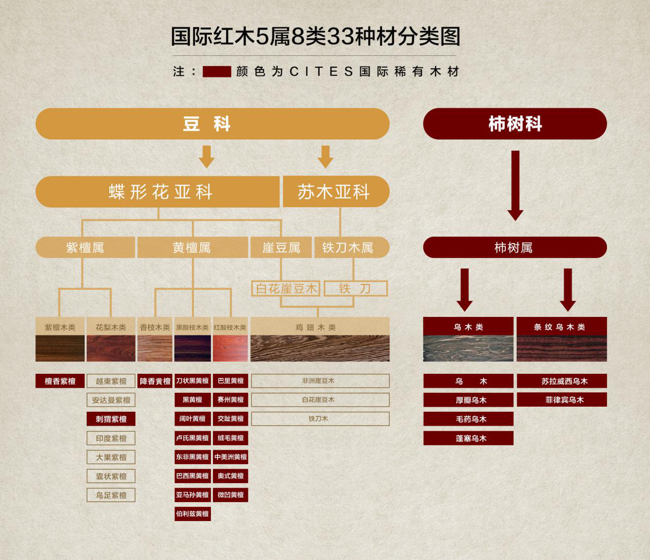 最新红木信息概览